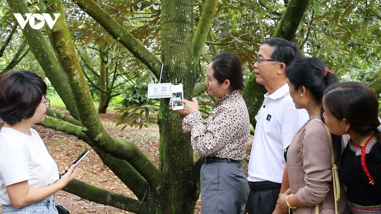 Chuyển đổi số “mở đường” cho nông nghiệp Đắk Lắk tăng trưởng bứt phá